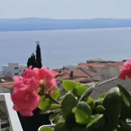 In With Sea View, Balcony, Air Conditioning, Wifi 5067-6